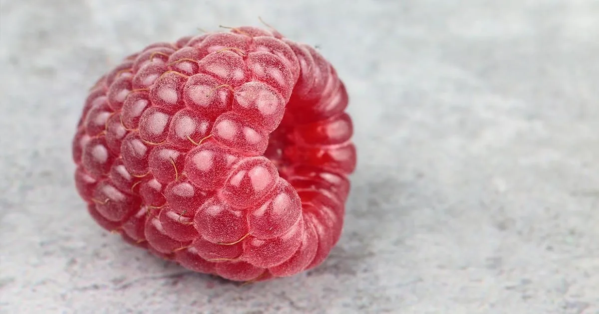framboise