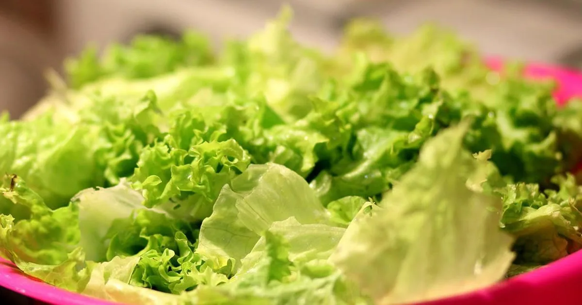 les differentes sortes de salades
