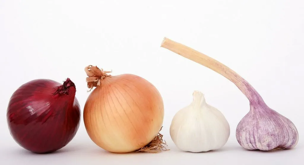 oignons dans les sauces