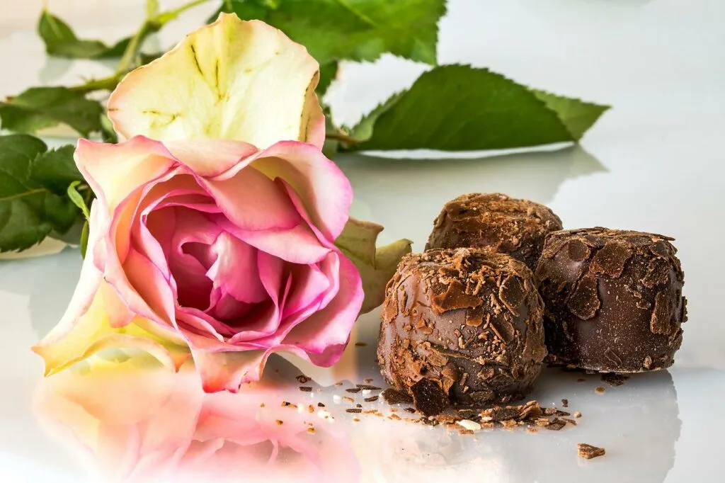 pralinés enrobés de chocolat