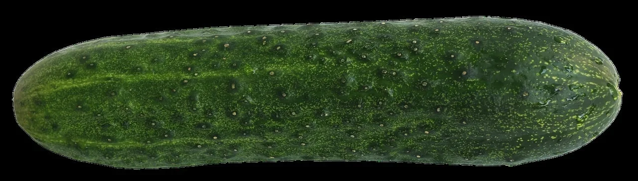 concombre