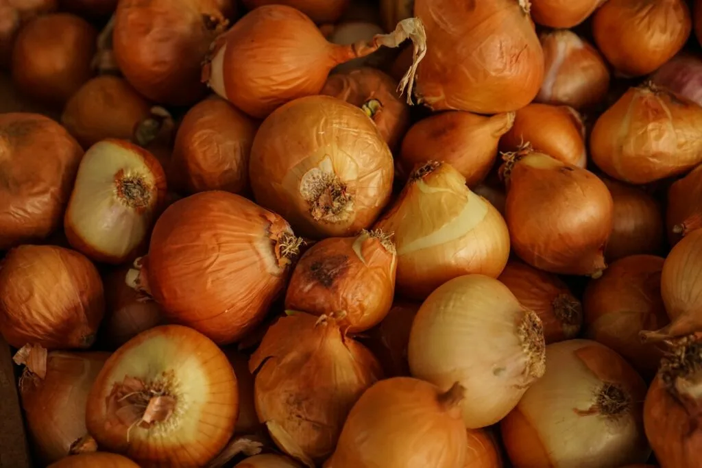oignons base de la sauce soubise