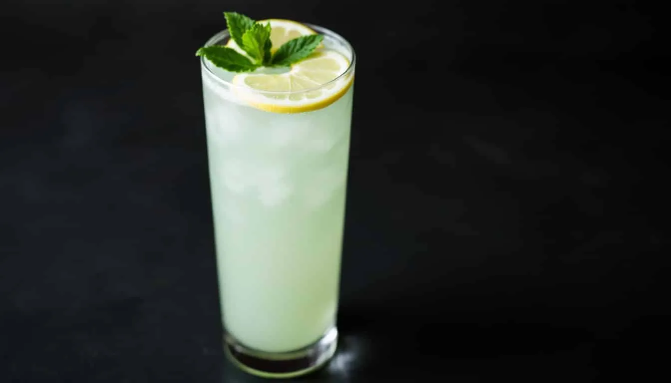 découvrez une citronnade à la menthe rafraîchissante, parfaite pour accompagner vos repas légers. cette boisson savoureuse allie le zeste du citron et la fraîcheur de la menthe pour rehausser vos plats estivaux.