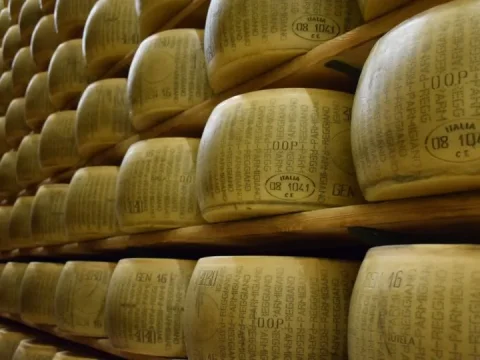 Astuces et infos: Les fromages AOC et AOP