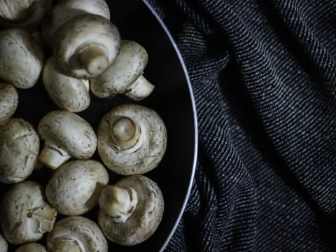 champignons de paris