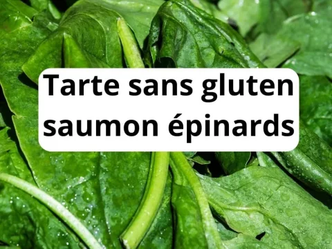 tarte sans gluten saumon epinards