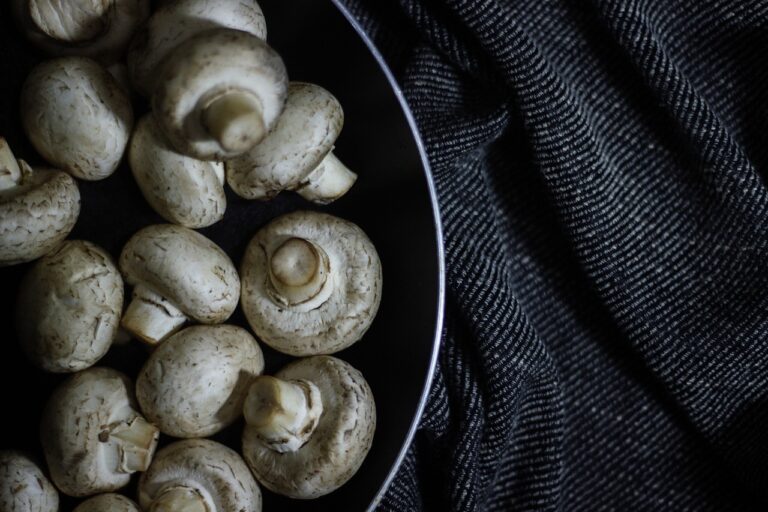 Champignons farcis à la ricotta et à la betterave : une entrée gourmande et saine0 (0)